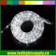 12/24v duralights 1/2'' 2 wire led ultra thin neon flex rope lights