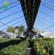 110V Hemp Light Deprivation Greenhouse Exterior Film Roll Blackout Greenhouses