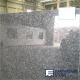 Silver Pearl Granite Slab