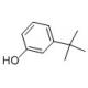 3-tert-Butylphenol [585-34-2]