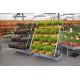 display 500KG Plant Trolley On Wheels , ISO Flower Rack Outdoor