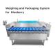 MCU Control Weighing And Packaging Machine For Blueberry Cherry Tomatoes Raspberries