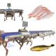 High Precise Live Fish Sorting Machine Live Fish Sorting Equipment Tilapia Sizing