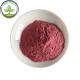 Wholesale Instant Powder Drink  Dried Waxberry In Bulk