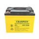 China Champion Deep Cycle Battery 12V33AH NP33-12-G Sealed Lead Acid Solar GEL Battery