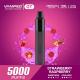5000 Puff Strawberry Raspberry Closed Pod System Disposable Vape Pen 1800mAh Oil 13ml
