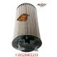 Stock 1105204E5233 Fuel Filter Element For JAC Jianghuai Junling