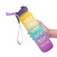 Leakproof 1 Gallon Motivational Water Bottle With Straw Reusable Plastic