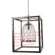 YL-L1039  American Creative antique shabby chic Industrial  Metal Globe Frame Chandelier