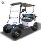 Custom Power Steering EV Golf Cart Electric Powered Vehicle 20mph