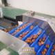 Elevating Efficiency And Standards Date Sorting Machine Reduces Labor Investment