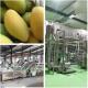 Stainless Steel Mango Pulp Production Line 380V 410V
