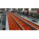 Ketchup Tomato Paste Production Line High Efficiency 1000kg/H