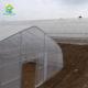 Serre Gothique 240m2 Poly Tunnel Greenhouse Economical Gothic Arch Greenhouse
