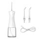 Adaptator 1A Nicefeel Water Flosser with ABS and 300ml Water Tank Capacity