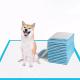 Blue 5-Layer Disposable Pet Training Pad for Small/Medium/Large Dogs Super Absorbent