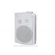 PA System Wall Hanging Speakers ABS 2 Way 90V / 100V
