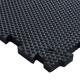 Noise Insulating Horse Rubber Mat 20mm Thickness NR Material