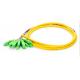 Single Mode Bunch Pigtail Patch Cord 1.5m SC APC 12 Fibers OS2 Yellow Color
