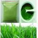 Freshly Made 120mesh Pure Barley Grass Powder for Health Care Supplement