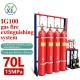 Factory Price Ig100 System Fire Extinguisher 70L/10MPa for Museum Fire Suppression