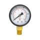 Stainless Steel 1.5'' 100 Psi General Liquid Pressure Gauge 1/8 BSP