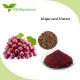 Natural Plant Extracts Proanthocyanidins 95-98% OPC Grape Seed Extract