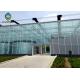 100% Horticultural Glass Greenhouse