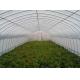 Galvanized Steel  Hoop Style Greenhouse , Vegetable Pe Film Greenhouse Side Height 1 / 2m