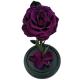Top quality eternity rose preserved rose forever rose in glass  rose gift