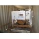 Big power container Natural Gas Powered Generator with Woodward Gov controller