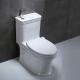 Ceramic Bathroom Toilet Bowl , 700x385x745mm One Piece Toilet Sink Combo