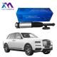 Rolls Royce Cullinan Rear Left and Right Air Suspension Shock 2019- 37106878225 37106878226