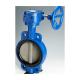 OEM Cast Iron Wormgear Operator Double Flange EPDM/NBR Seat Stainless Steel Disc Lug Wafer Butterfly Valve