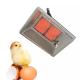 Galvanized Plate Poultry Brooder Heater NG Biogas Propane Chicken Coop Heater