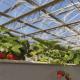Hydroponic Flower System A-Type Roof Glass Greenhouse for Large Commercial Production