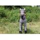 Fitness own stuffed animal zebra / Gema / Mechanical walk right / plush walking Gema