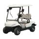25Mph-40Mph New Energy 2 Seater Golf Cart For Club Leisure Resort