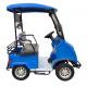Experience Endless Adventures With A Customizable Two-Seater Golf Cart  For Physically Disabled People