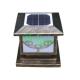 Outdoor LED Solar Fence Light (DL-SP277)