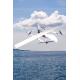 Dual Vertical Tail long range vtol uav Unmanned Aerial Vehicle With High Payload Capacity Satellite Communica