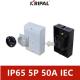 CE Approval IP65 Isolator Switch 4 Pole 32A 40A 50A 63A With Enclosure