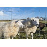 Electric Galvanized Iron 0.5m Farm Fencing Wire Mesh For Livestocks