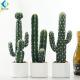 Mini Size Fake Cactus Plant Silk Plastic Material 40-43 Height R001025