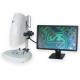 VGA Camera Video Microscope with Click Zoom Lens and Wide Screen