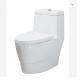 Comfort Height Siphonic One Piece Bathroom Toilet Dual Flush Single Piece Closet