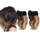 Brazilian Spring Curl Hair Weaves 3pcs/Lot 100g/pc 100% Human Hair Weft T1B/27