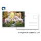 Full Color Animated Postcards , Two Sides Custom Lenticular Printing 0.6 MM PET