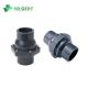 Tubular Structure PVC Ball Check Valve for Reversing Flow Direction and Swing Spring
