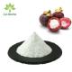 Factory supply Natural Concentrated Mangosteen Juice Powder  Mangosteen fruit Powder/Mangosteen Powder